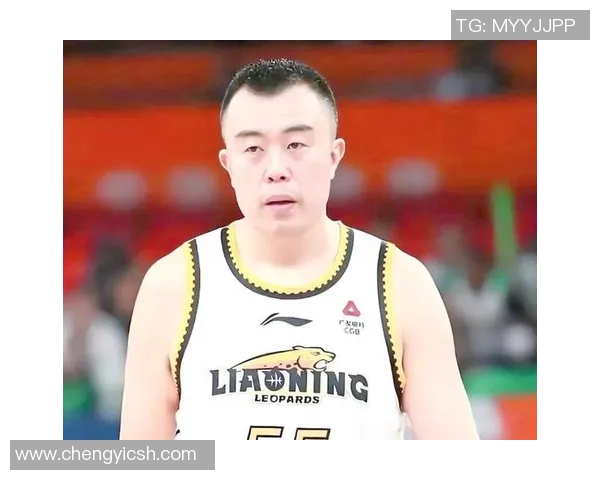 韩德君:从篮球新星到CBA传奇的辉煌历程与未来展望