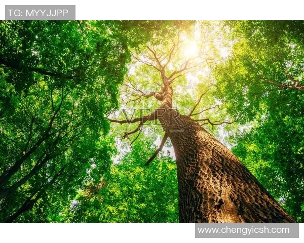 绿色森林与牛津联的激战谁能在赛场上笑到最后