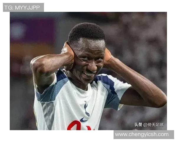 塞内加尔与尼日利亚激战20回合精彩瞬间回顾与分析